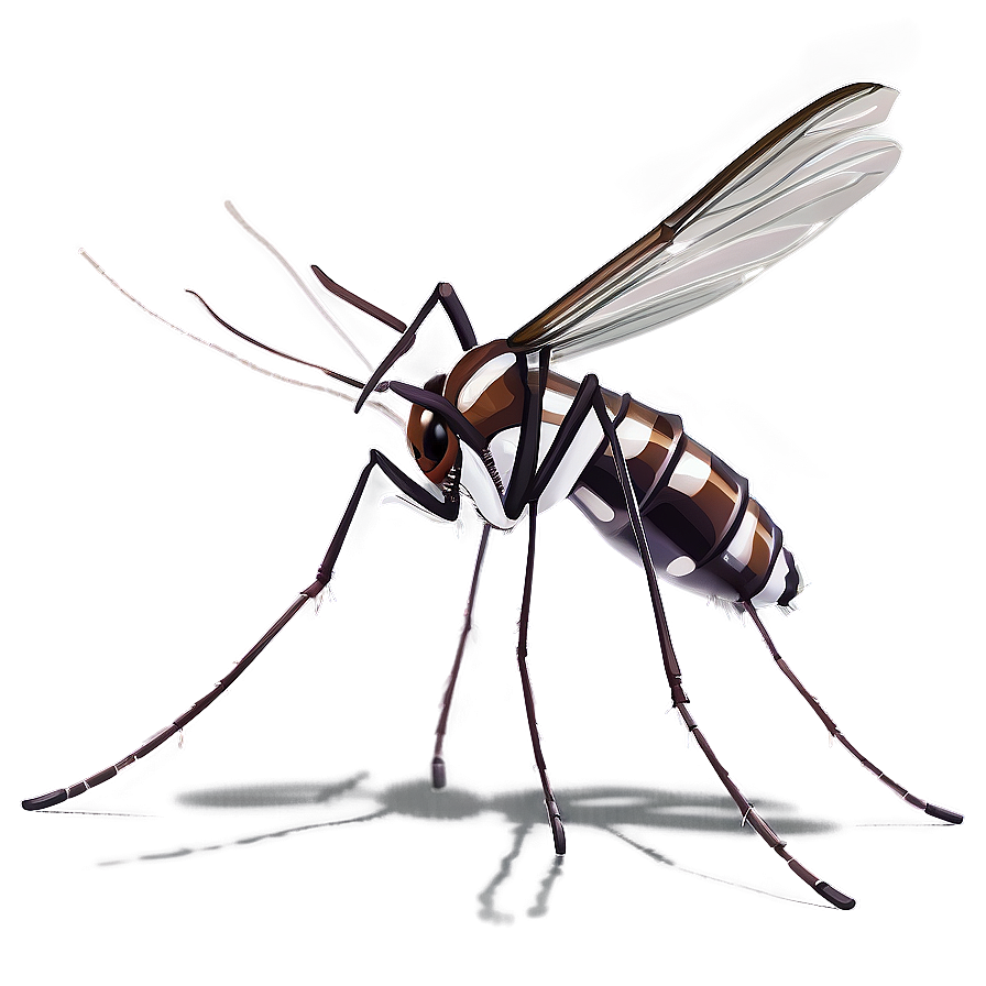 Aedes Mosquito Png 05242024 PNG Image