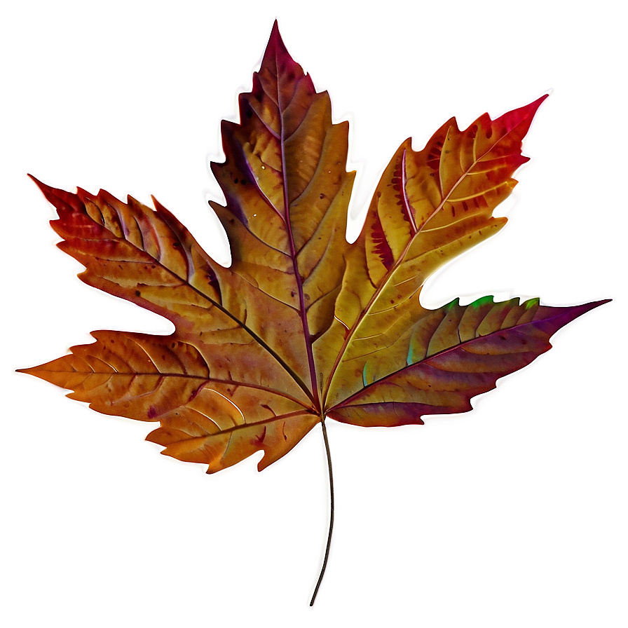 Aesthetic Autumn Leaves Png 06112024 PNG Image