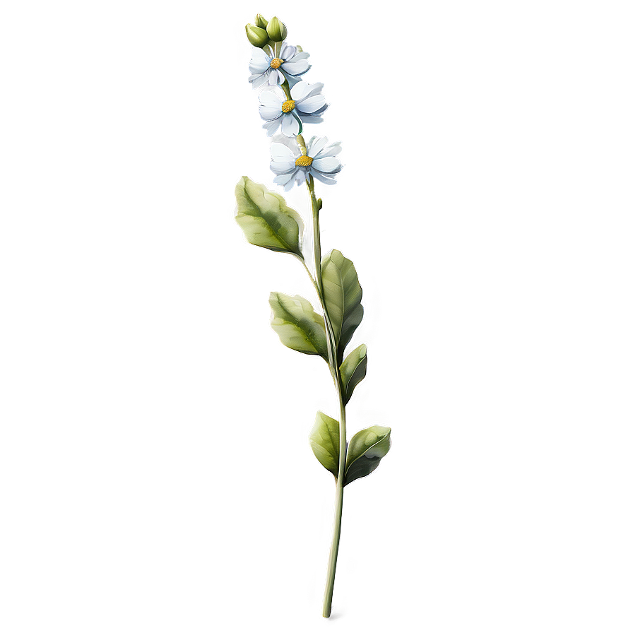 Aesthetic Flower Stem Png 37 PNG Image