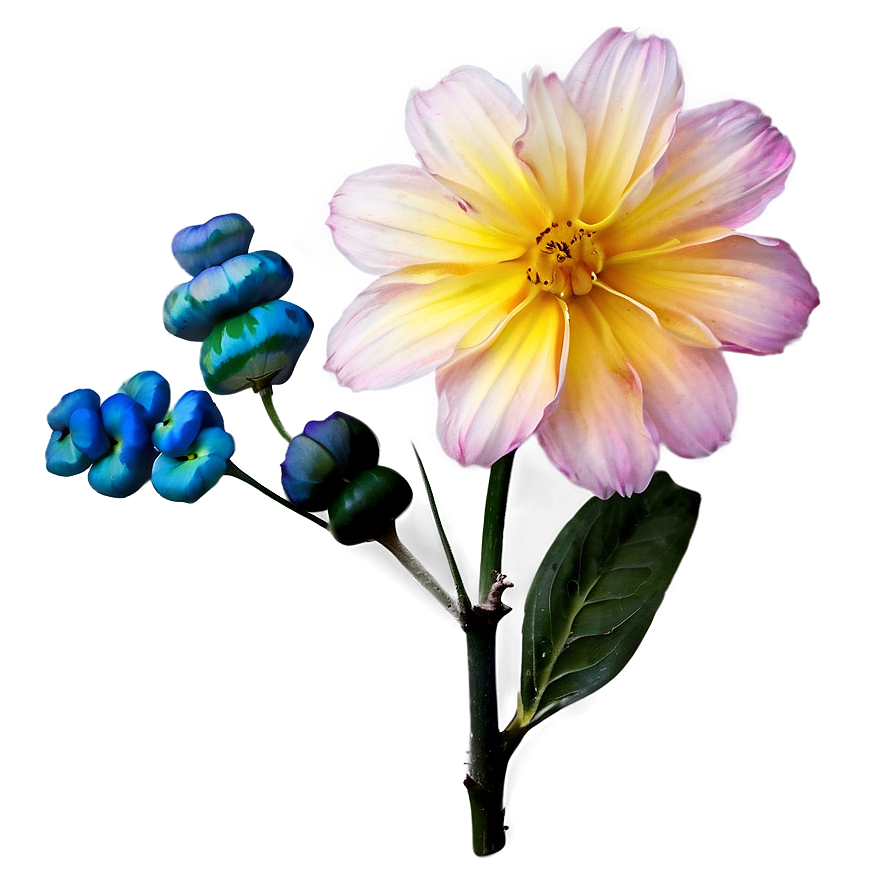 Aesthetic Flowers B PNG Image