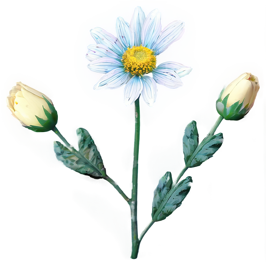 Aesthetic Night Blooming Flower Png Ysq3 PNG Image