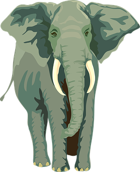 African Elephant Illustration PNG Image