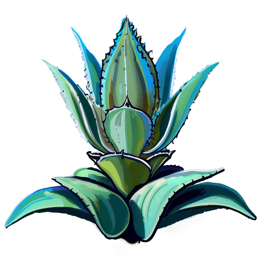 Agave Plant Illustration Png Unb8 PNG Image