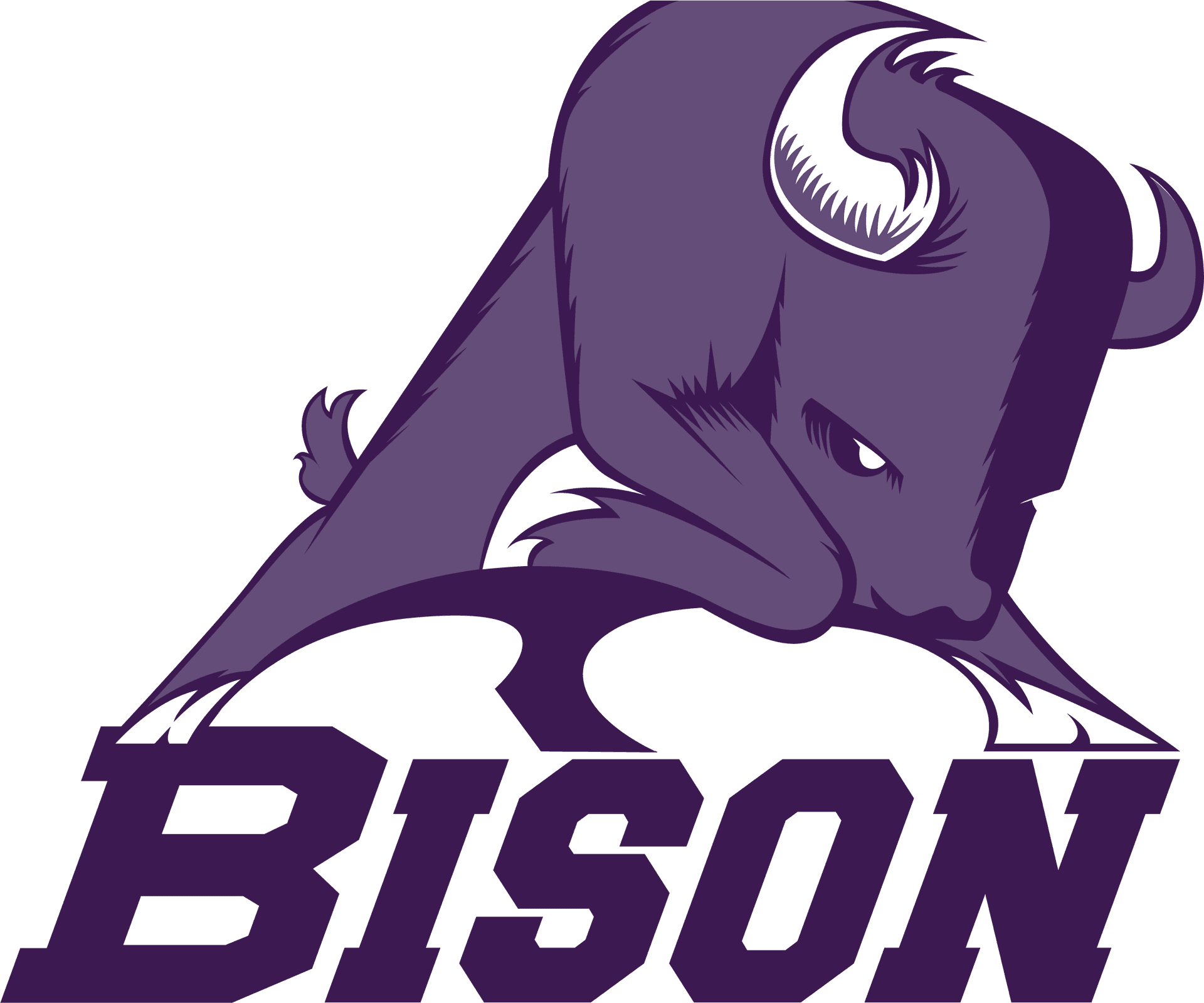 Aggressive Bison Mascot Logo PNG Image