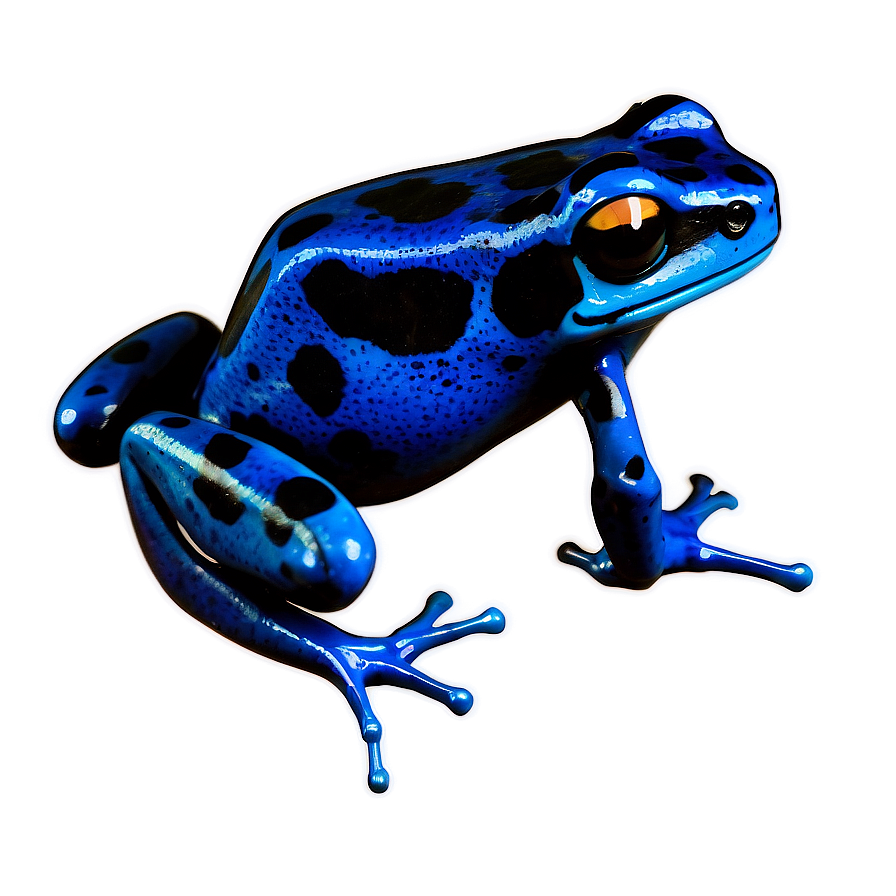 Agile Poison Dart Frog Png Wwu88 PNG Image