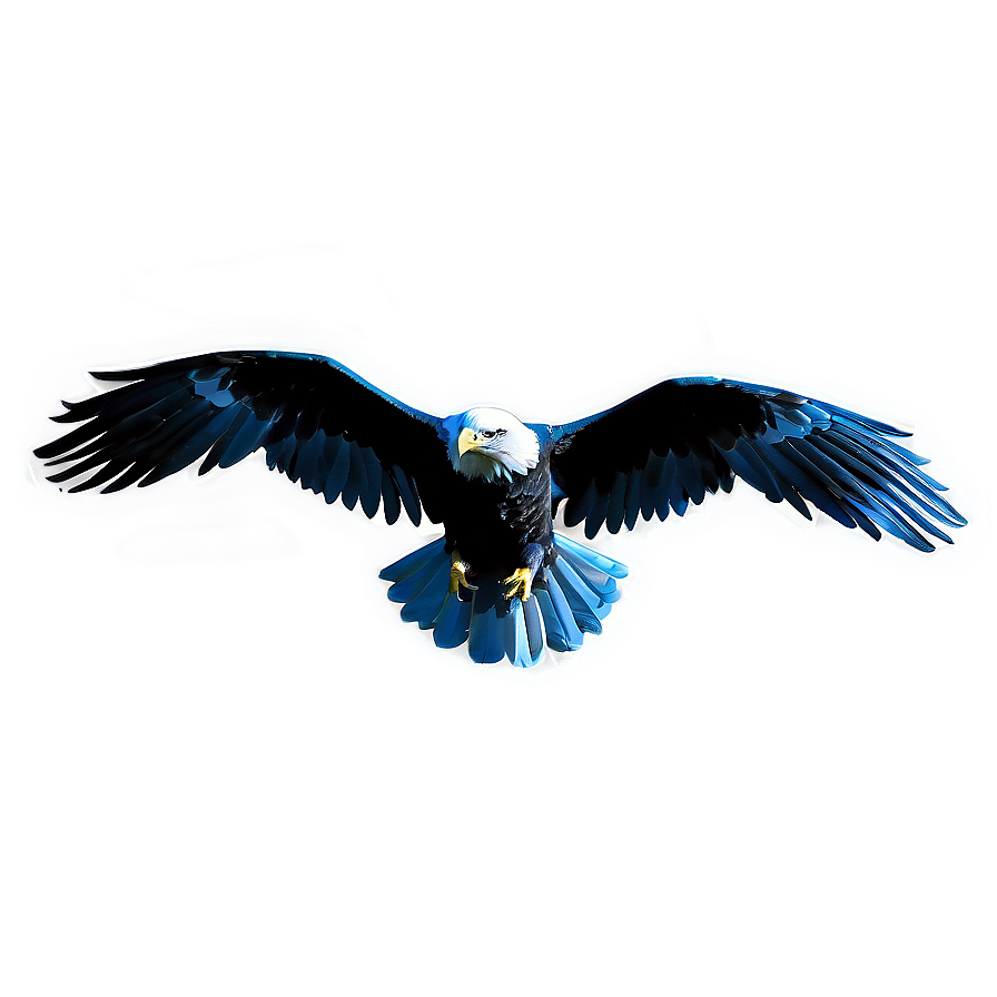 Aguila Outline Png Yre PNG Image