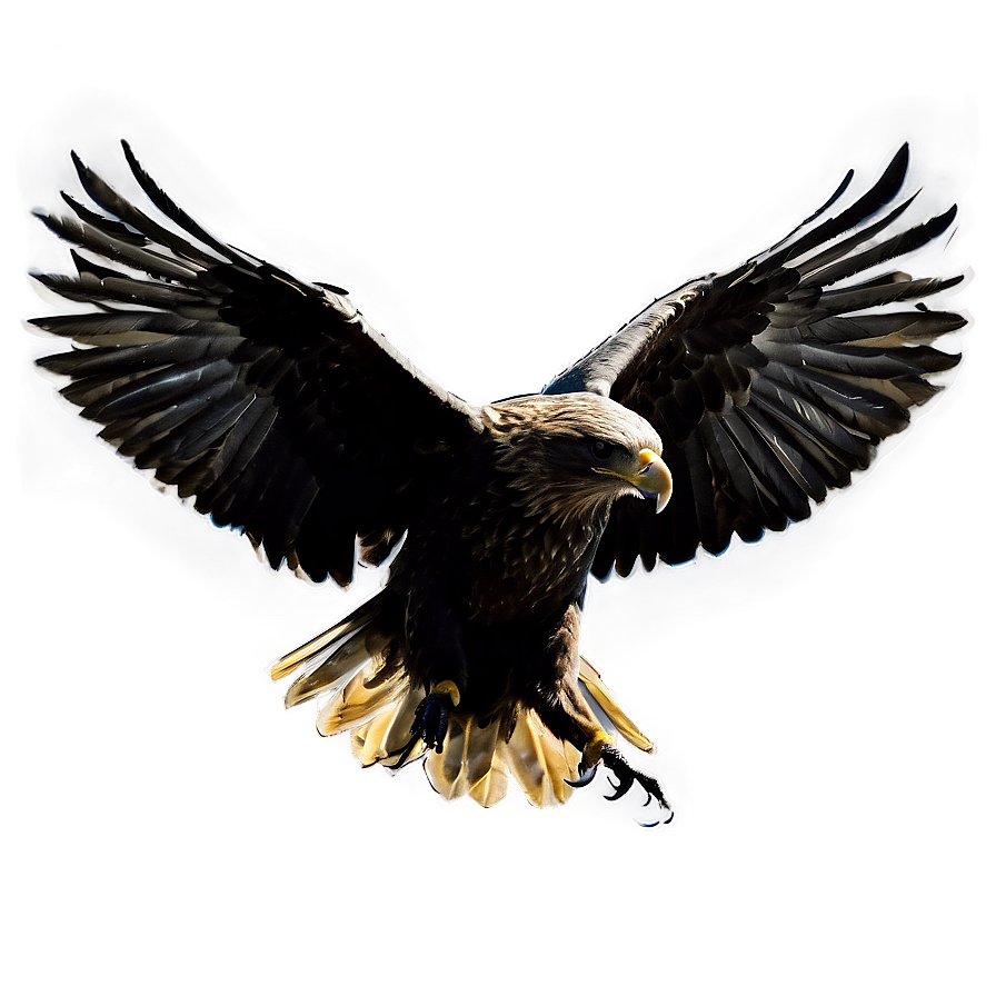 Aguila Silhouette Png 06252024 PNG Image