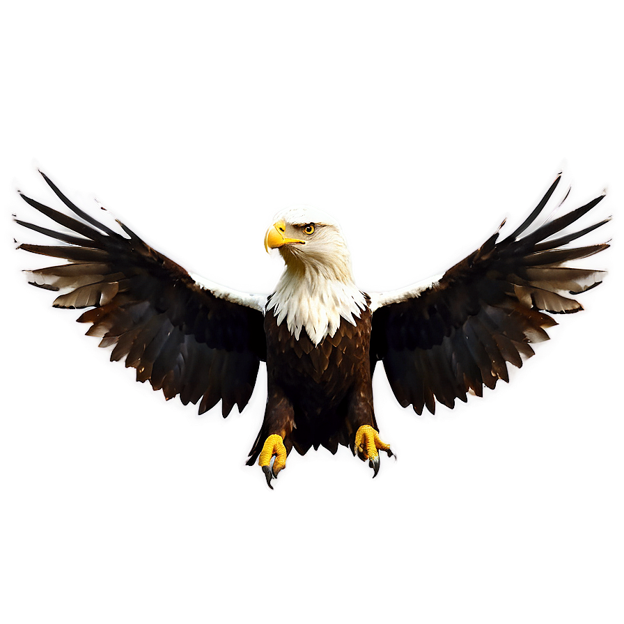 Aguila Wallpaper Png 06252024 PNG Image