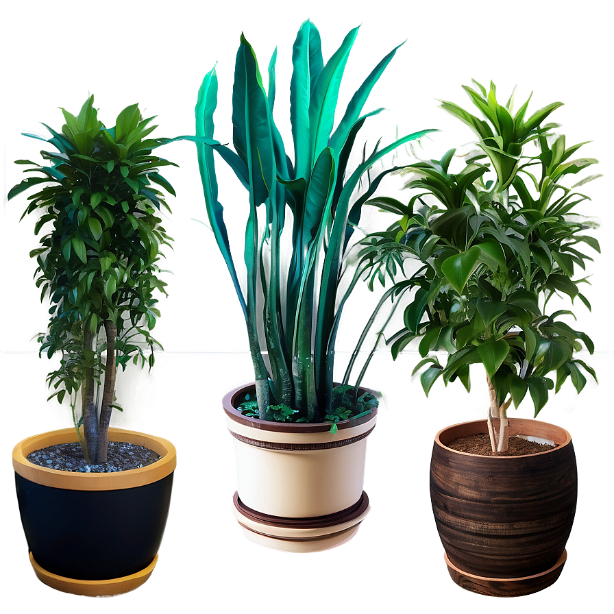 Air Purifying Potted Plants Png 06122024 PNG Image