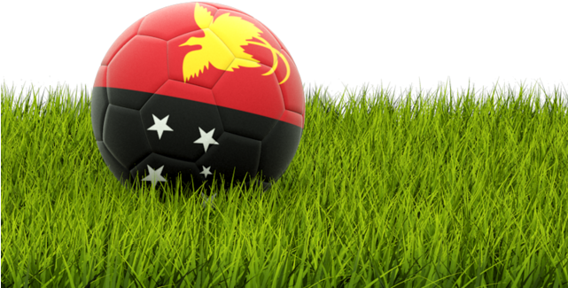 Albanian Flag Footballon Grass PNG Image