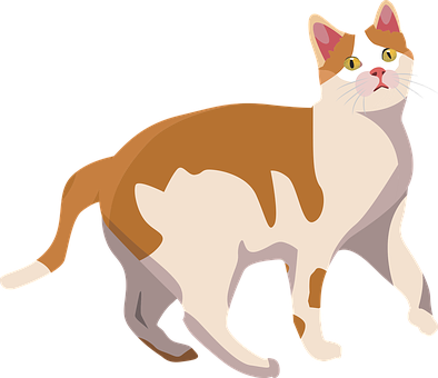 Alert Calico Cat Illustration PNG Image