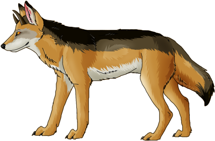 Alert Coyote Illustration PNG Image