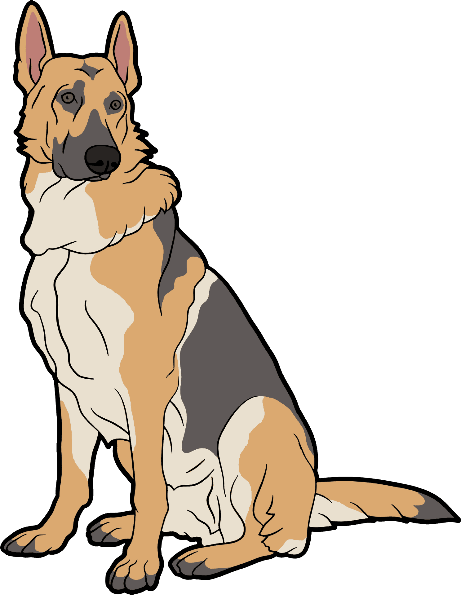 Alert German Shepherd Illustration.png PNG Image