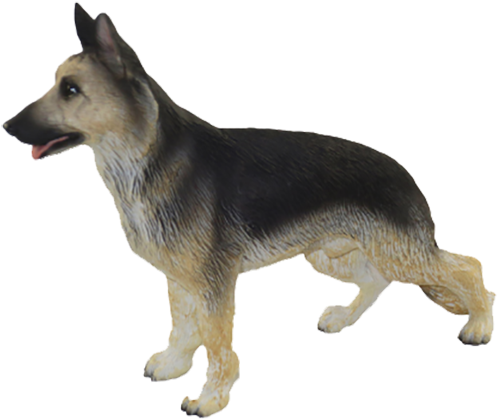 Alert German Shepherd Walking PNG Image