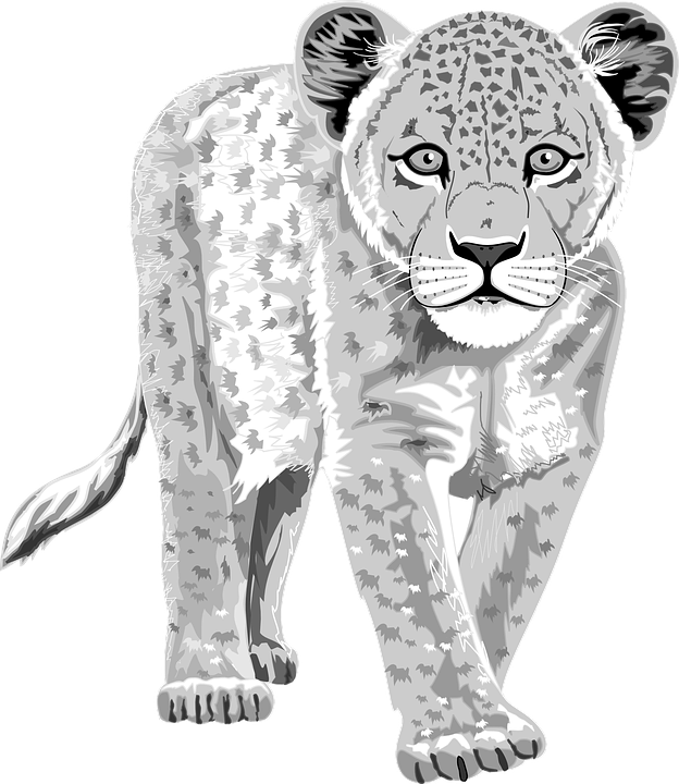 Alert Leopard Illustration PNG Image