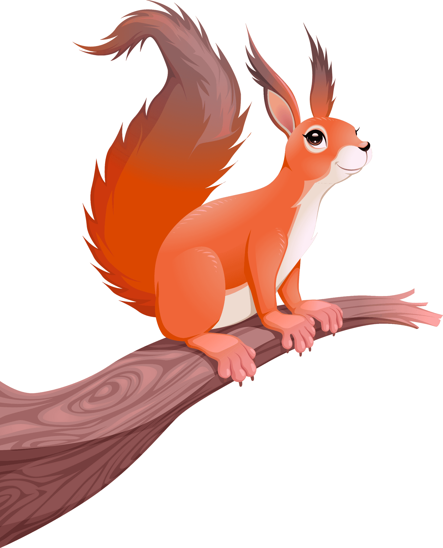 Alert Orange Squirrelon Branch PNG Image