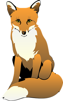 Alert Red Fox Illustration PNG Image