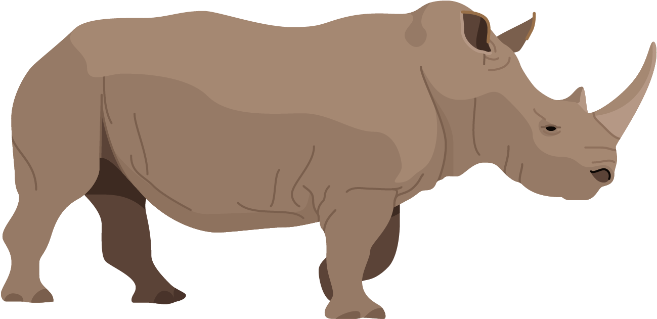 Alert Rhinoceros Standing PNG Image