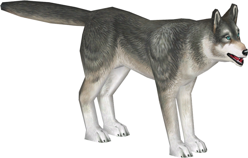 Alert Siberian Husky Standing PNG Image