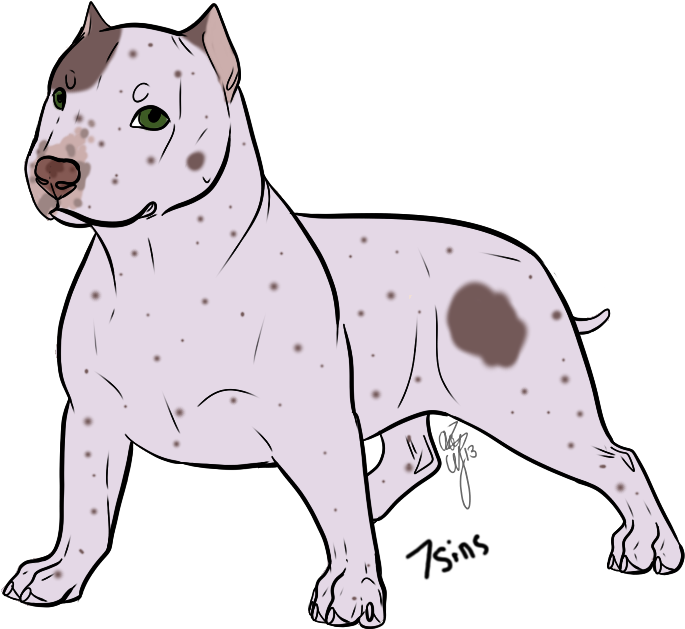 Alert White Pitbull Illustration PNG Image