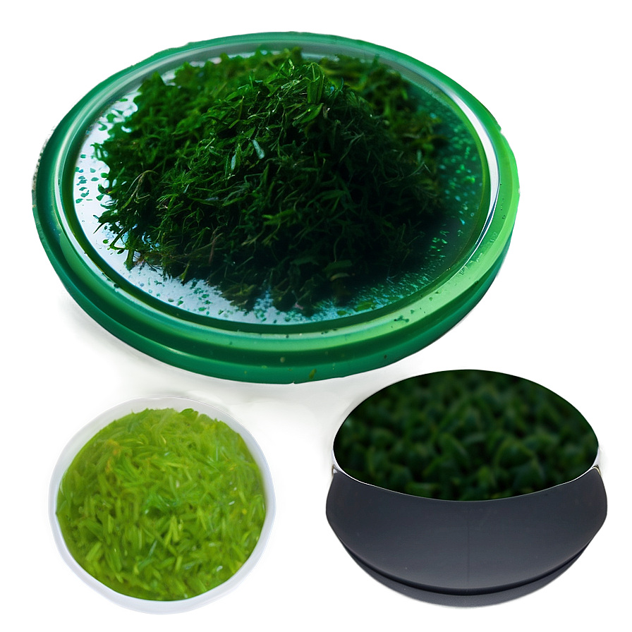 Algae-based Food Product Png 06212024 PNG Image