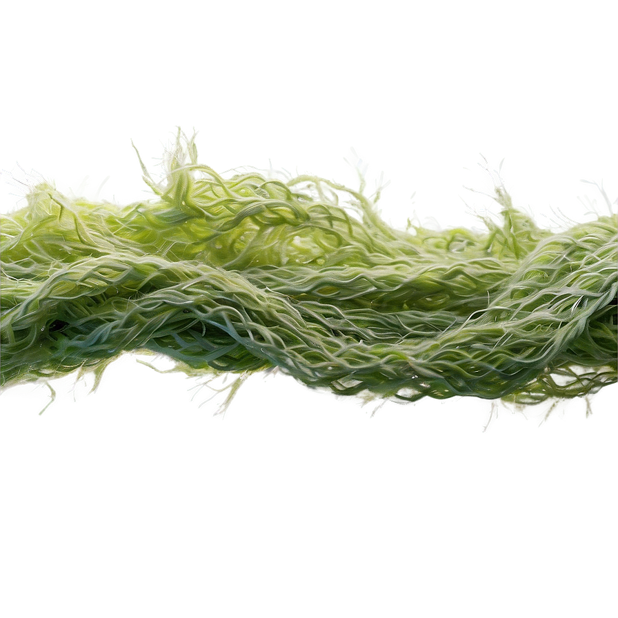 Algae-based Textile Fiber Png 13 PNG Image