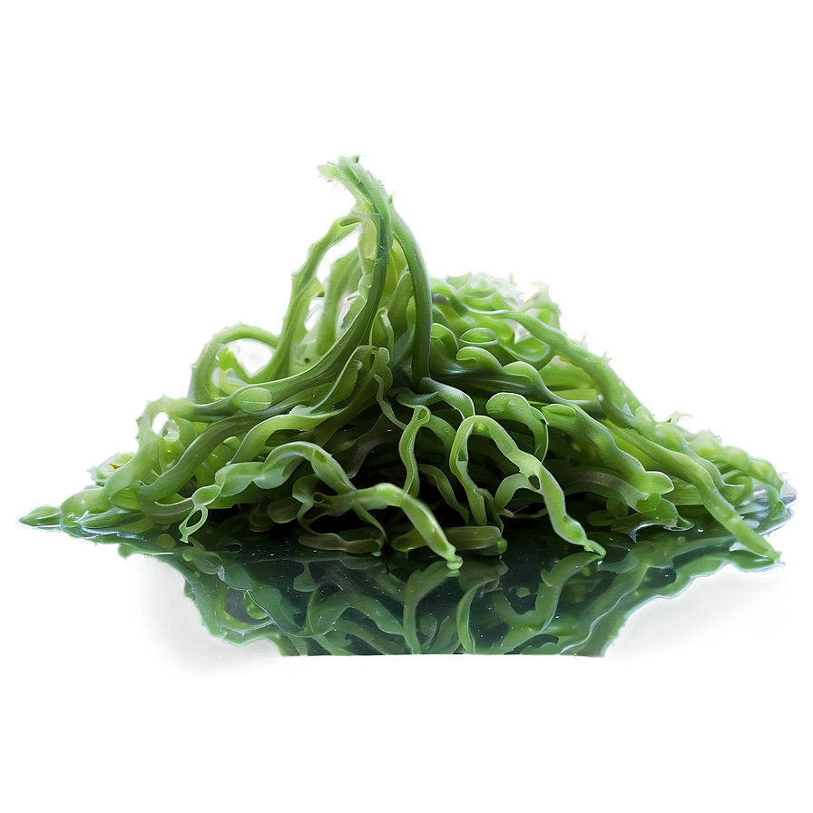 Algae-based Textile Fiber Png Wuf92 PNG Image