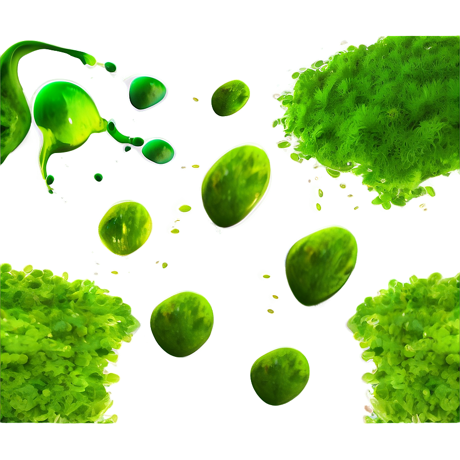 Algae Texture Background Png Wkb PNG Image