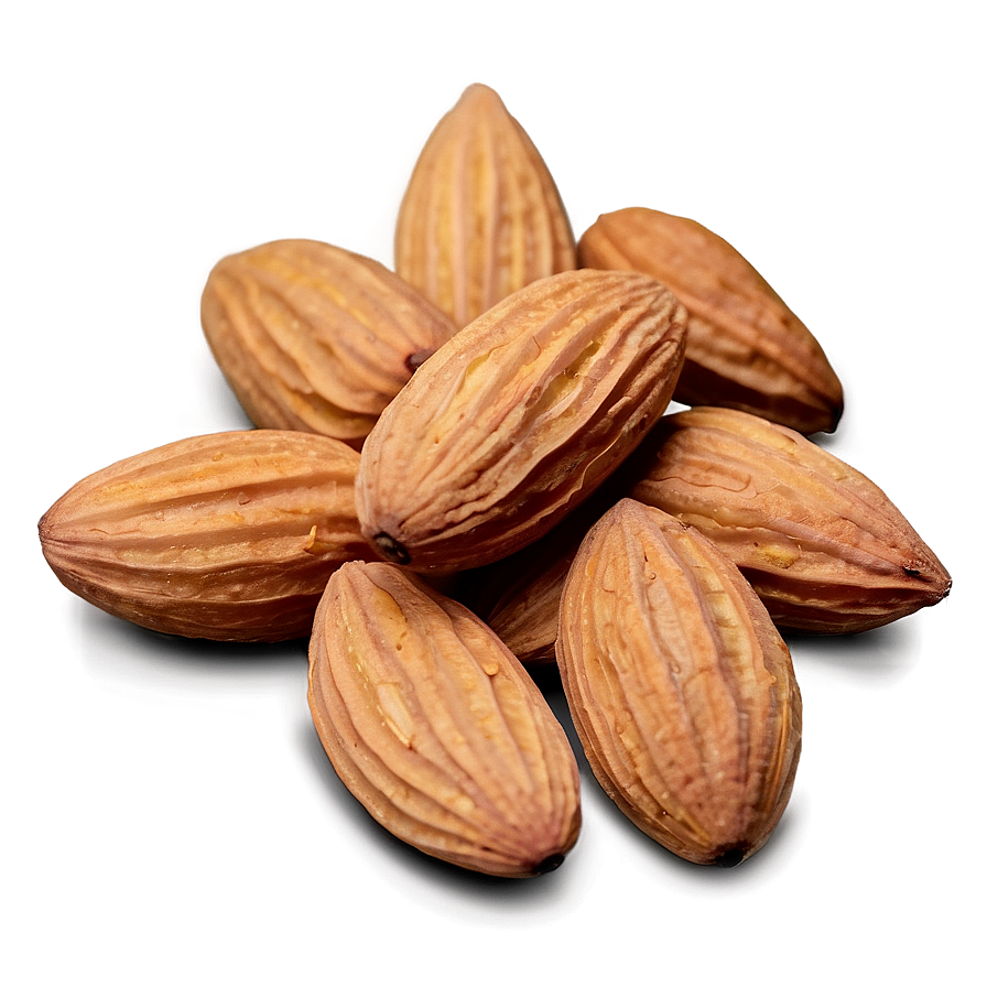 Almond Collection Png 05242024 PNG Image