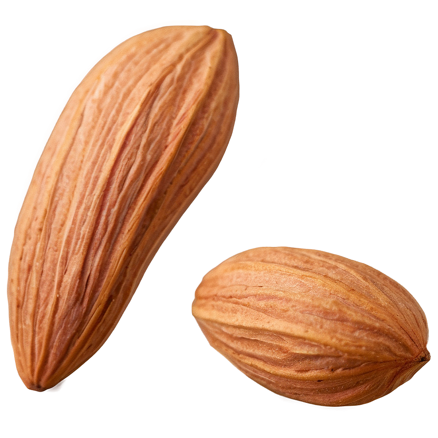 Almond Nut Png 20 PNG Image