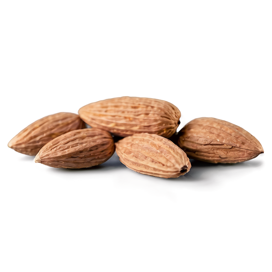 Almond On White Png Xwd PNG Image