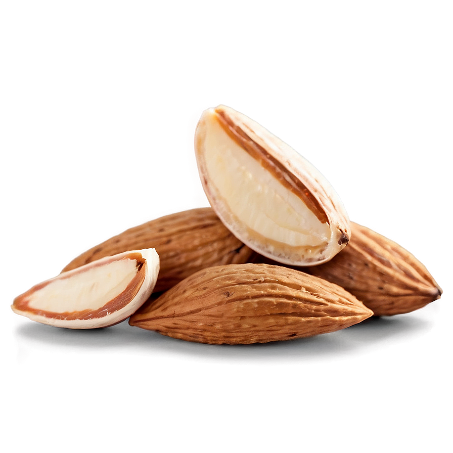 Almond Piece Png Yxi PNG Image