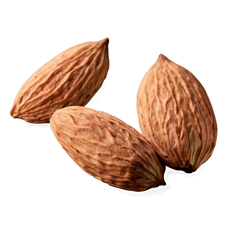 Almond With Leaf Png Hnt PNG Image