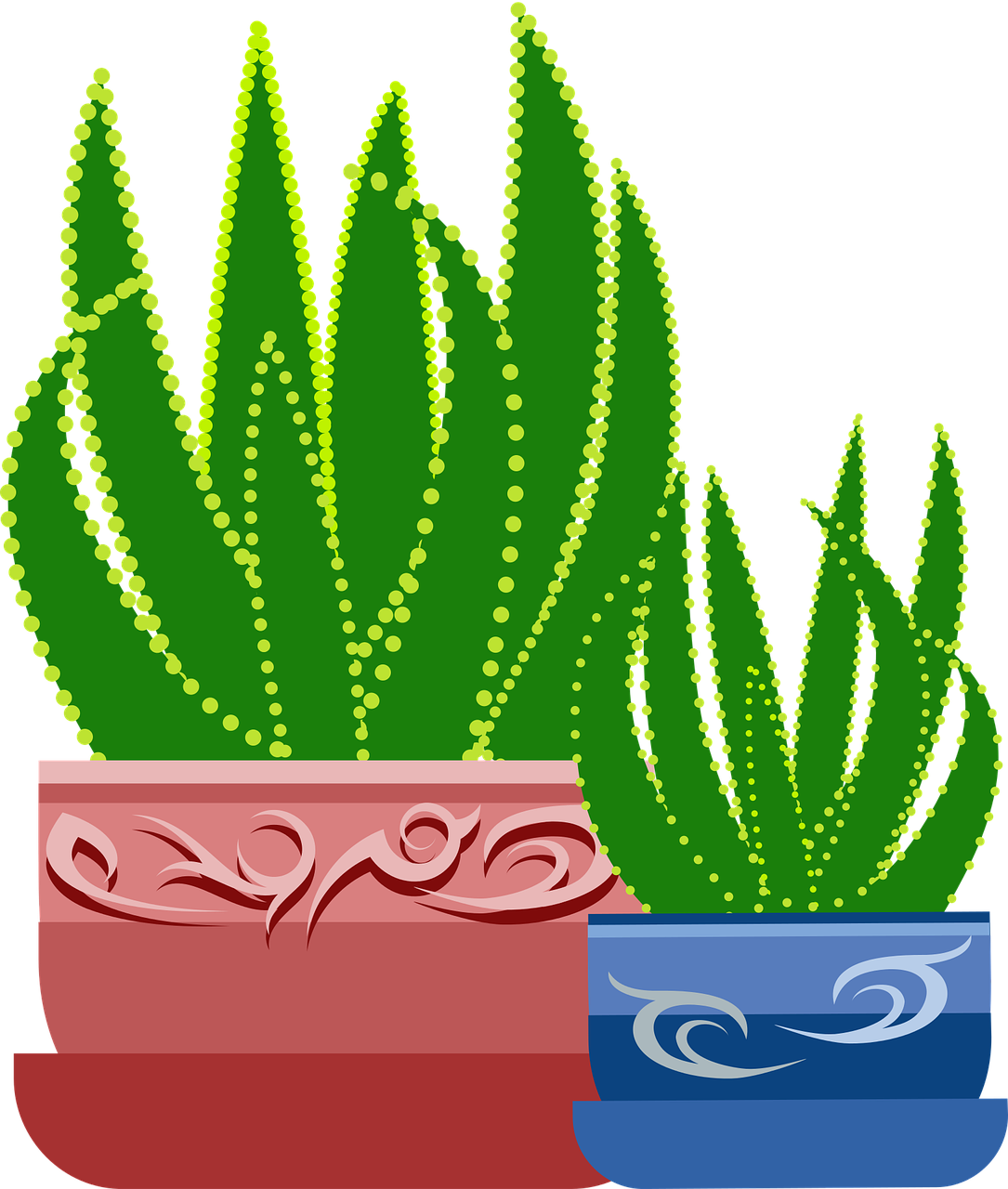 Aloe Vera Plantsin Decorative Pots PNG Image