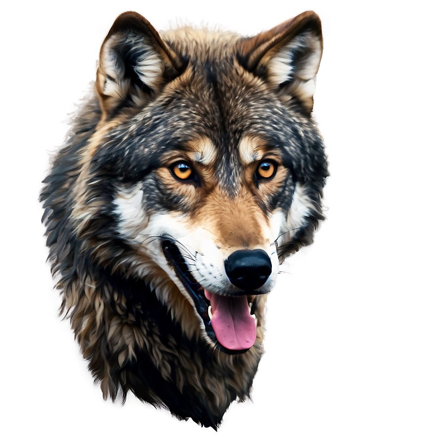 Alpha Wolf Illustration Png 77 PNG Image