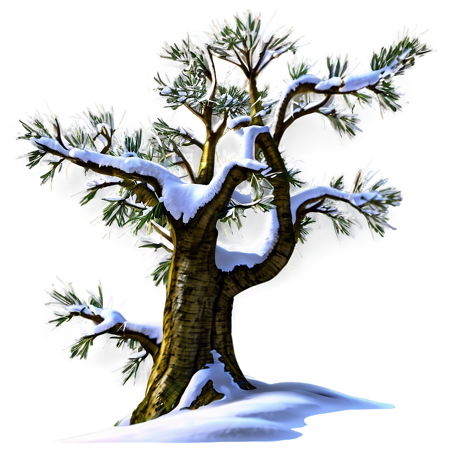 Alpine Snow Tree Png 06212024 PNG Image