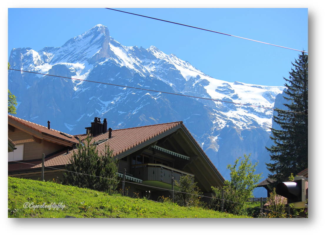 Alpine_ Summit_ Behind_ Chalet PNG Image