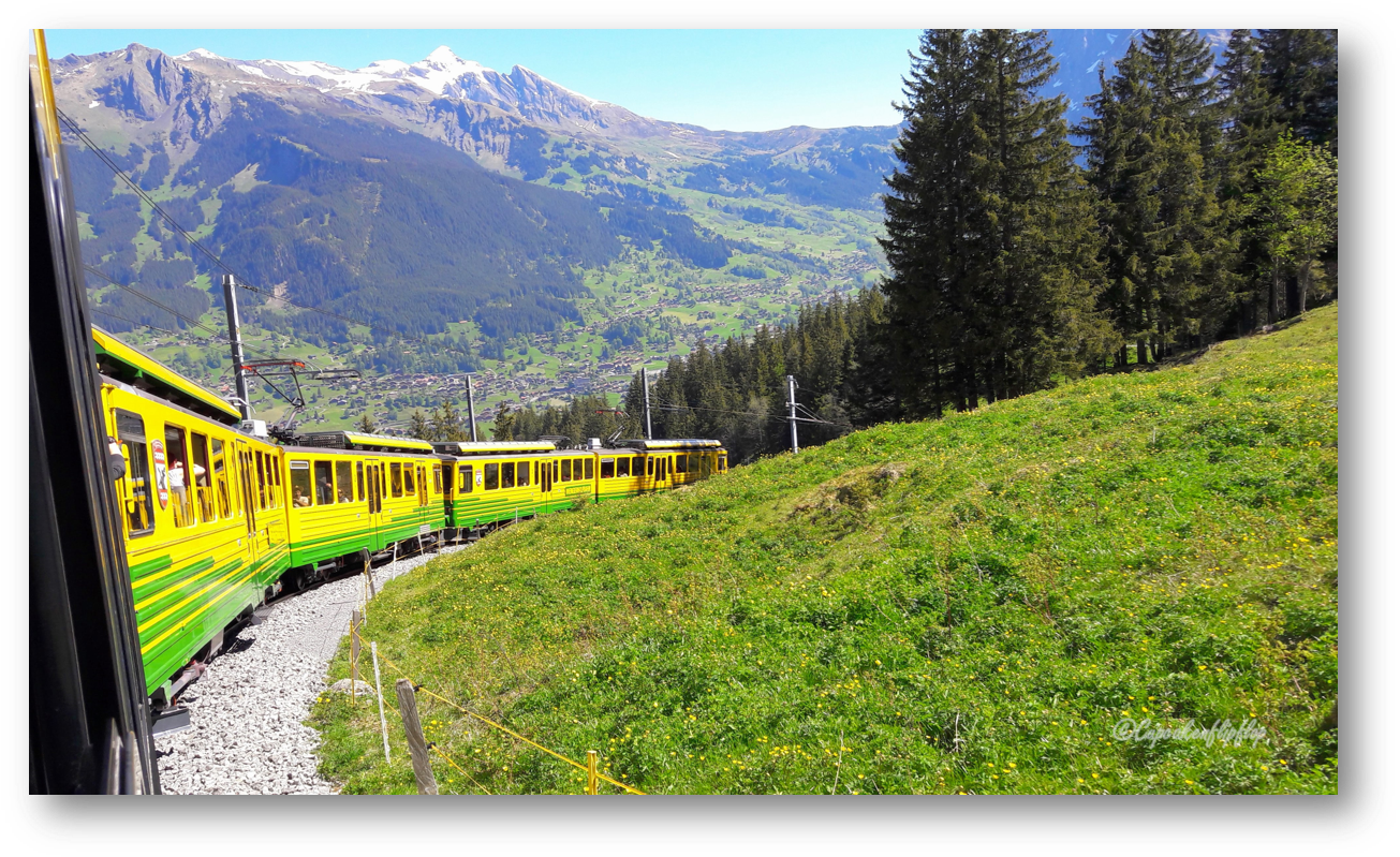 Alpine_ Train_ Journey PNG Image