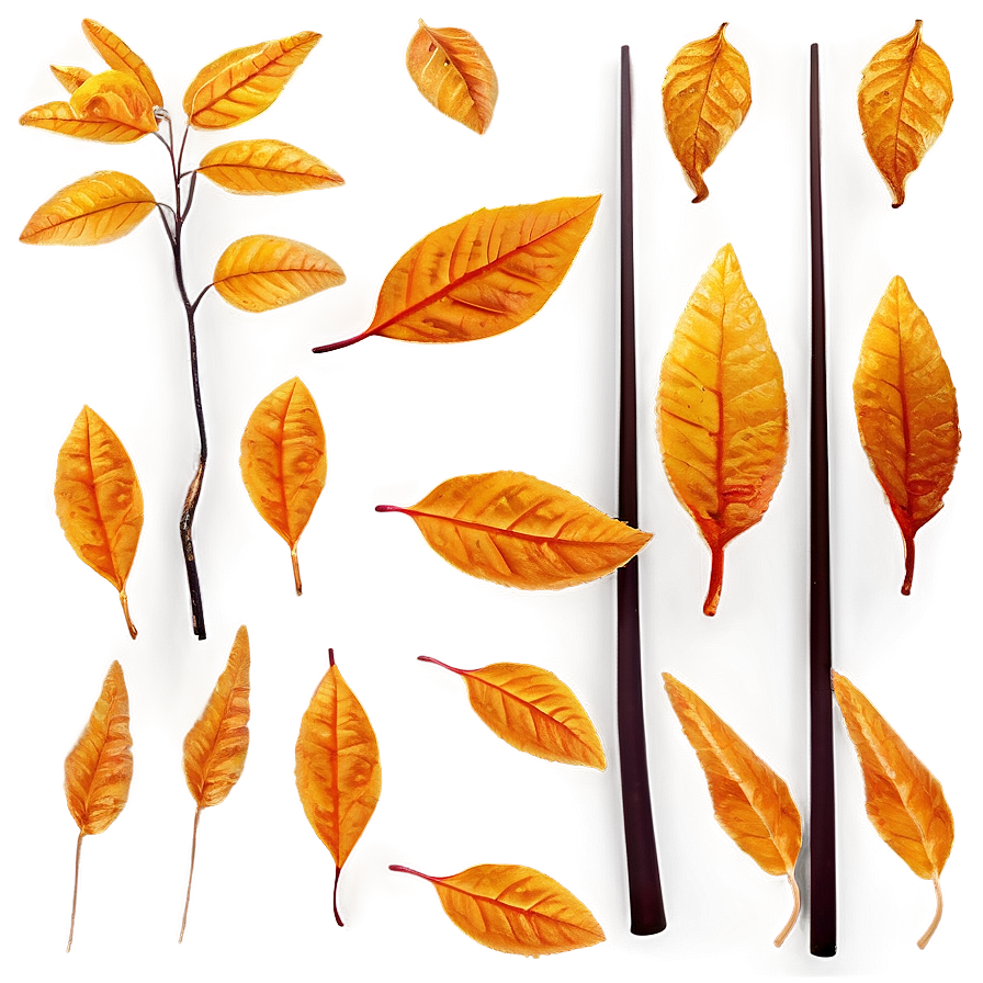 Amber Leaves Fall Png 06132024 PNG Image