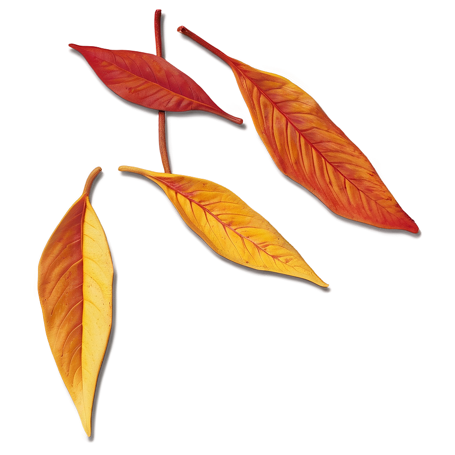 Amber Leaves Fall Png Ago PNG Image