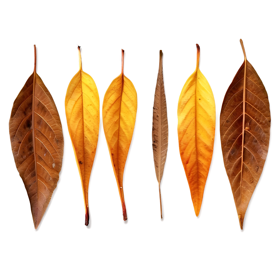 Amber Leaves Fall Png Kmn68 PNG Image