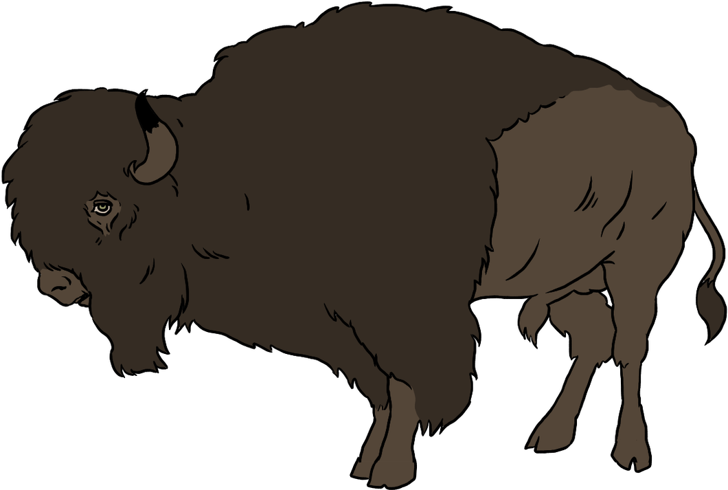 American Bison Illustration PNG Image