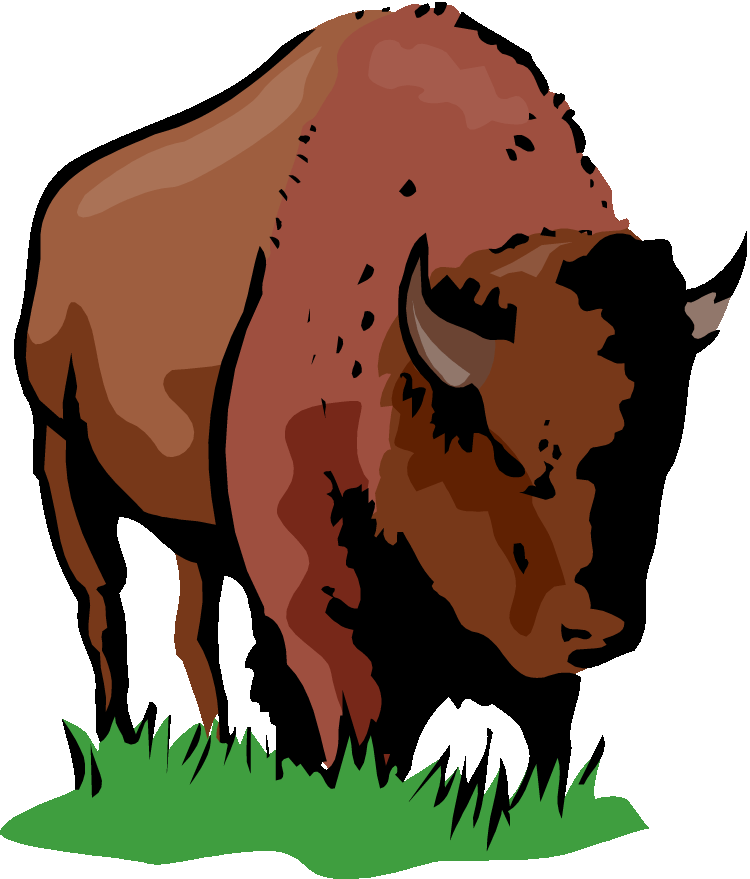 American Bison Illustration PNG Image