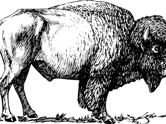 American Bison Silhouette PNG Image