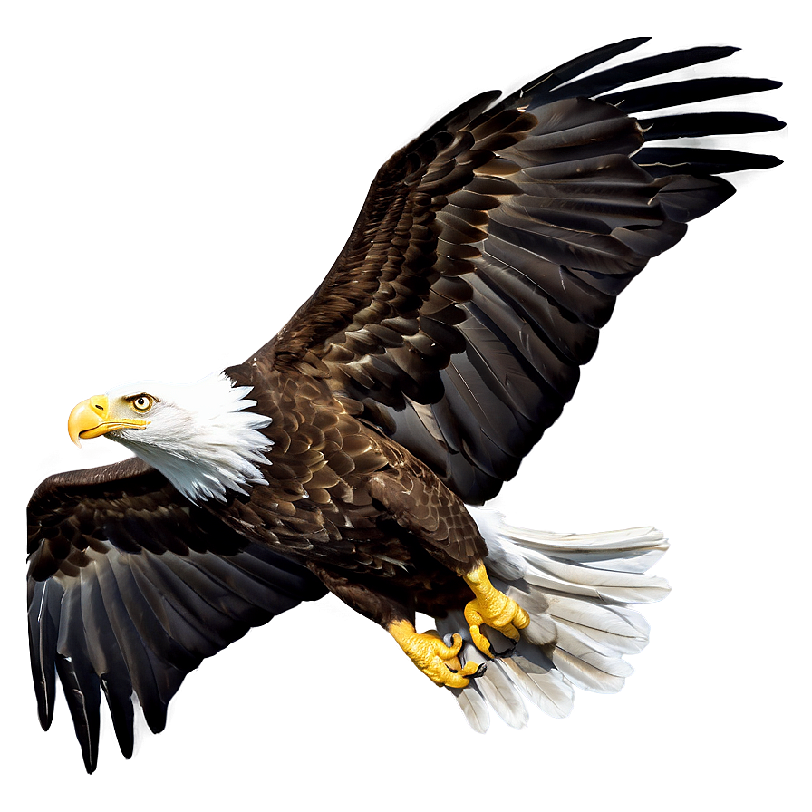 American Eagle In Flight Png 95 PNG Image