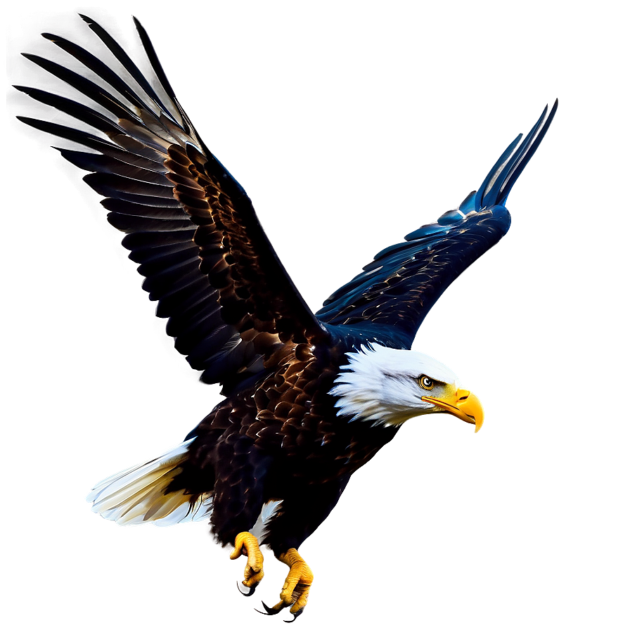 American Eagle In Flight Silhouette Png Wsk PNG Image