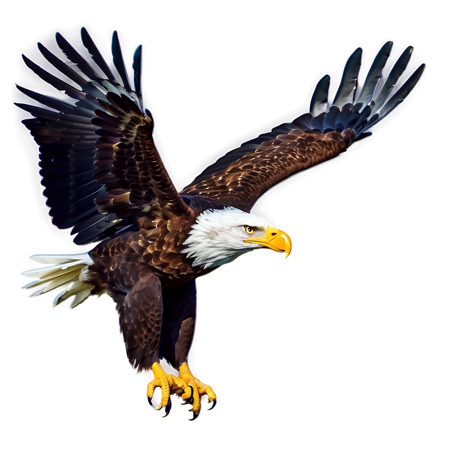 American Eagle Landing Png 3 PNG Image