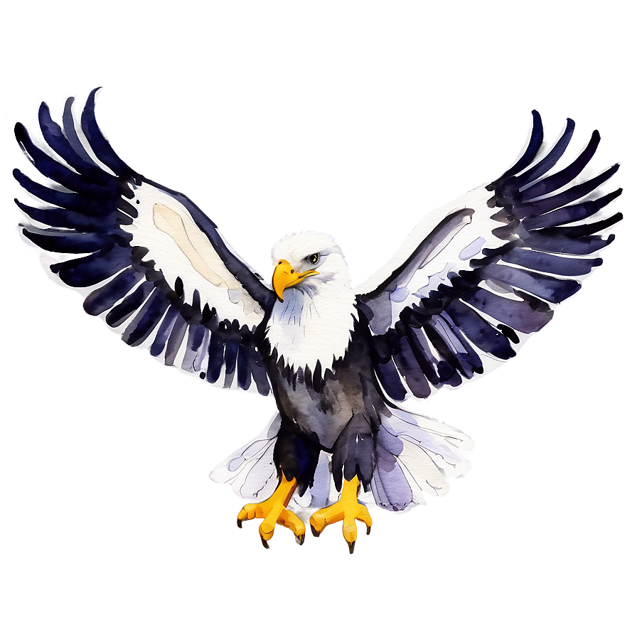 American Eagle Watercolor Png Qwf46 PNG Image