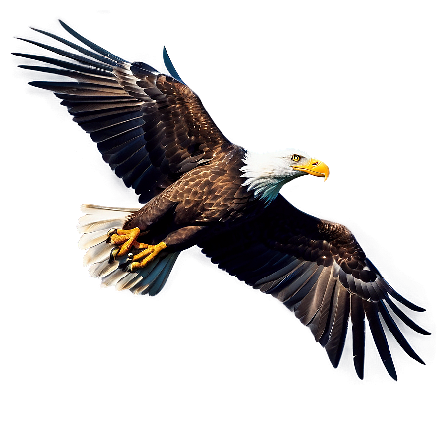 American Eagle With Stars Png Pyv PNG Image