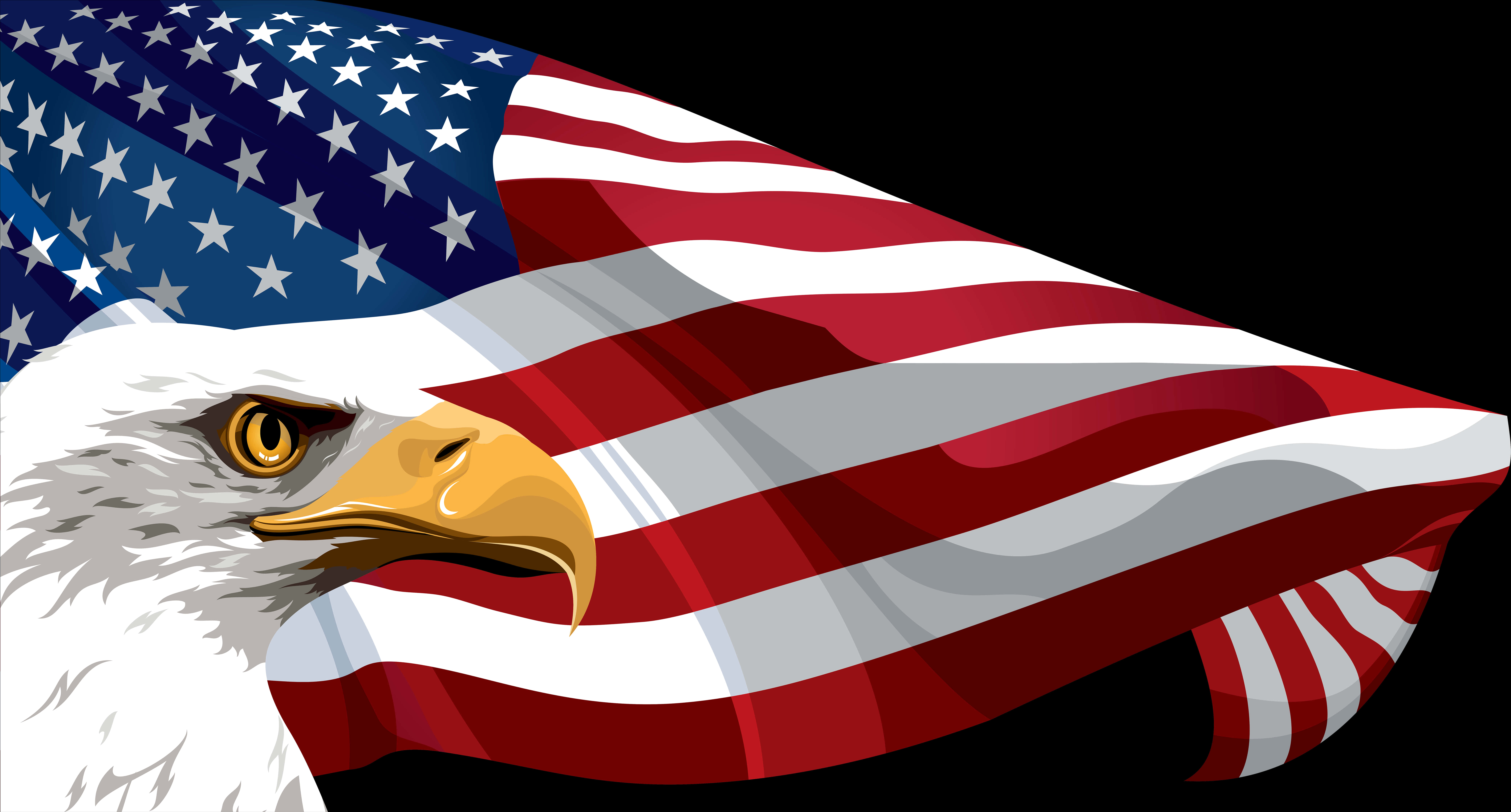 American Eagleand Flag Illustration PNG Image